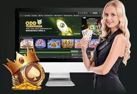 79bet7 com